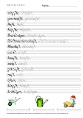 DSS_2S_Bu_ft_Nr_01.pdf